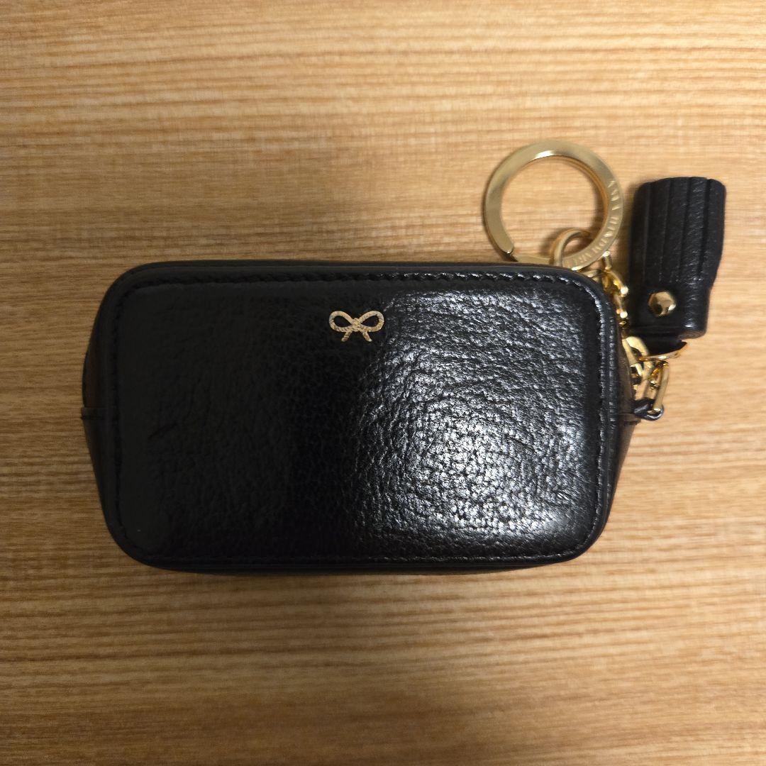 アニヤ・ハインドマーチ アイズ ケース