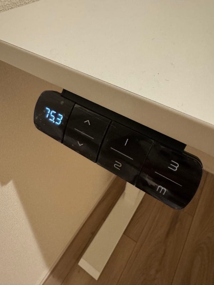 電動昇降デスク 120×60cm 障害感知 メモリー 静音 ホワイト Sunon