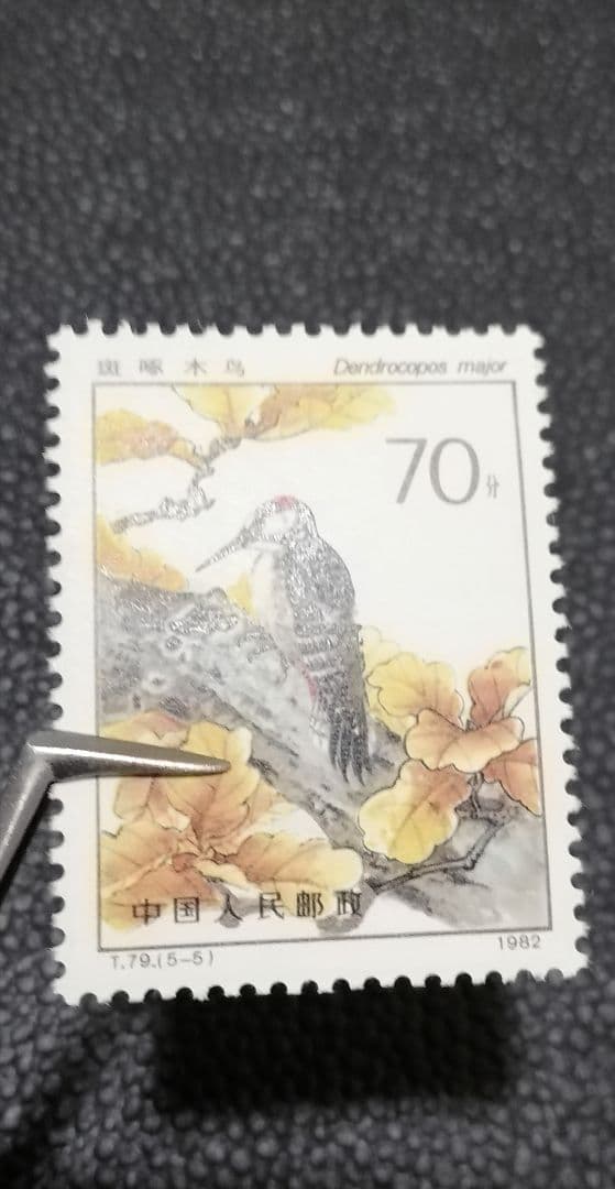 中国切手 T79益鳥 小型シート 1種完 タトウ付き&5種完