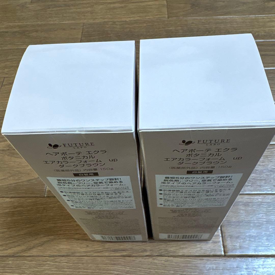 ［新品]ヘアボーテエクラ ボタニカルエアカラーフォーム ダークブラウン2本セット