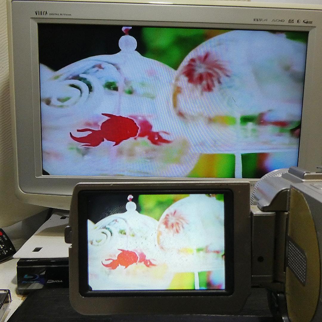 美品・動作品ソニー DCR-TRV20 MiniDV ビデオカメラ DVD化に