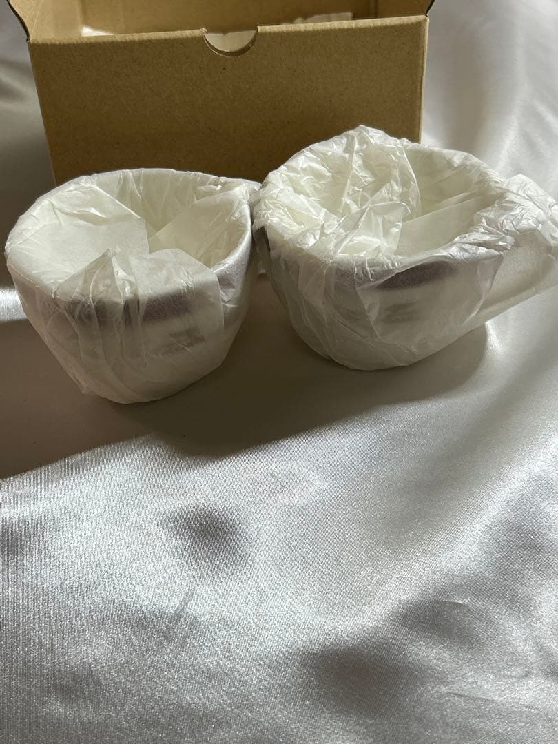 トワイライトエクスプレス　カップandソーサー　2客セット　新品