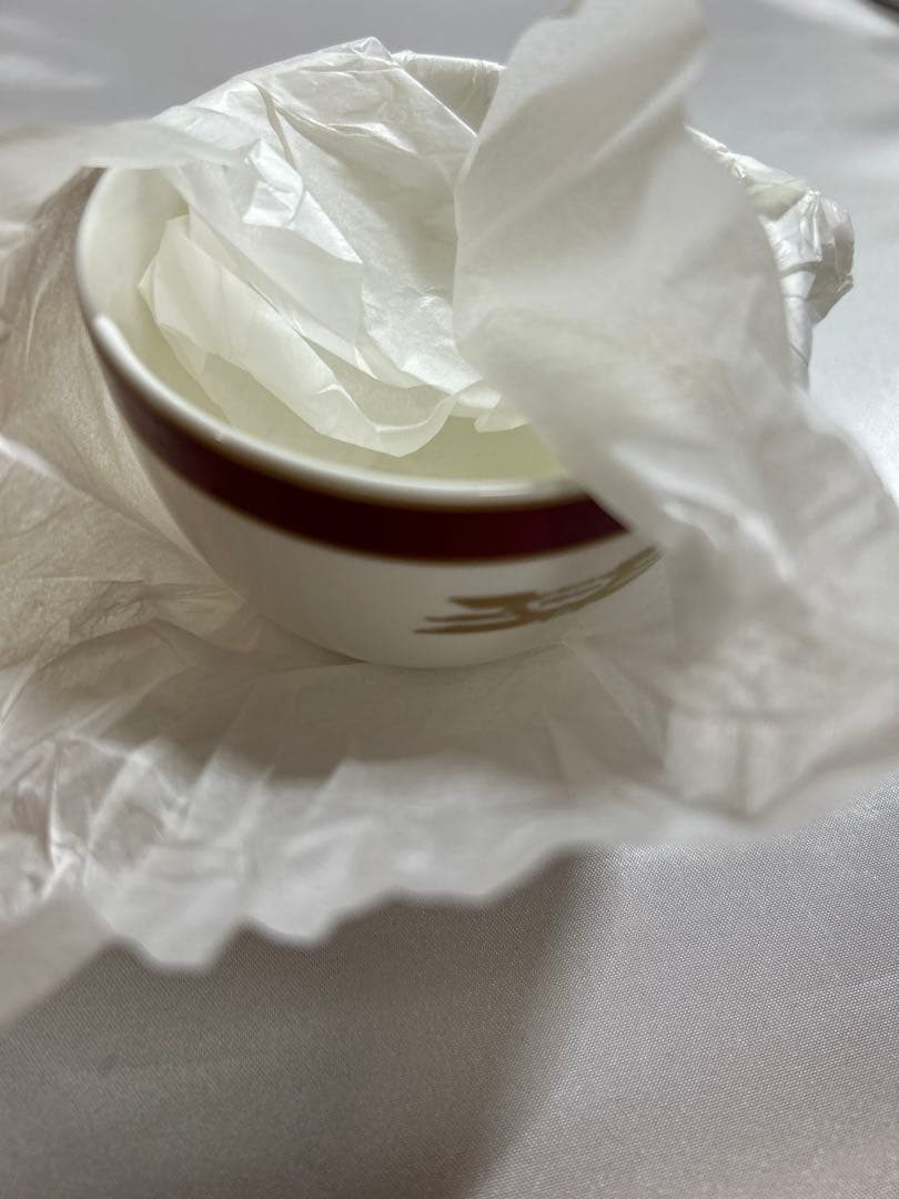 トワイライトエクスプレス　カップandソーサー　2客セット　新品