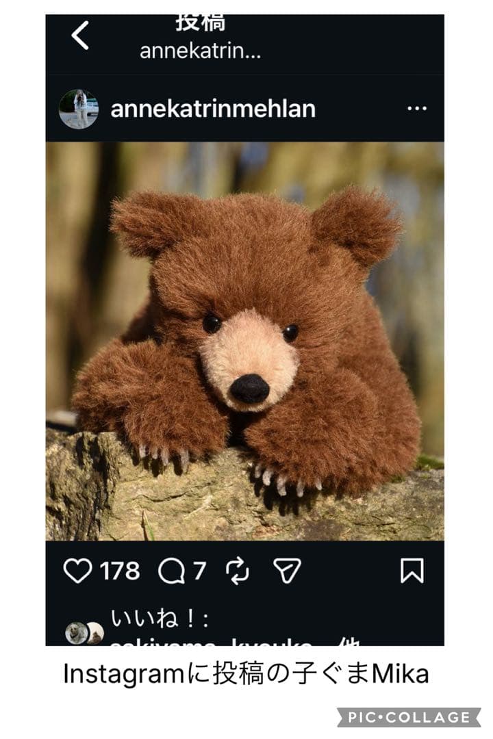 子ぐま（ぬいぐるみ）ANNEKATRIN MEHLAN - メルカリ