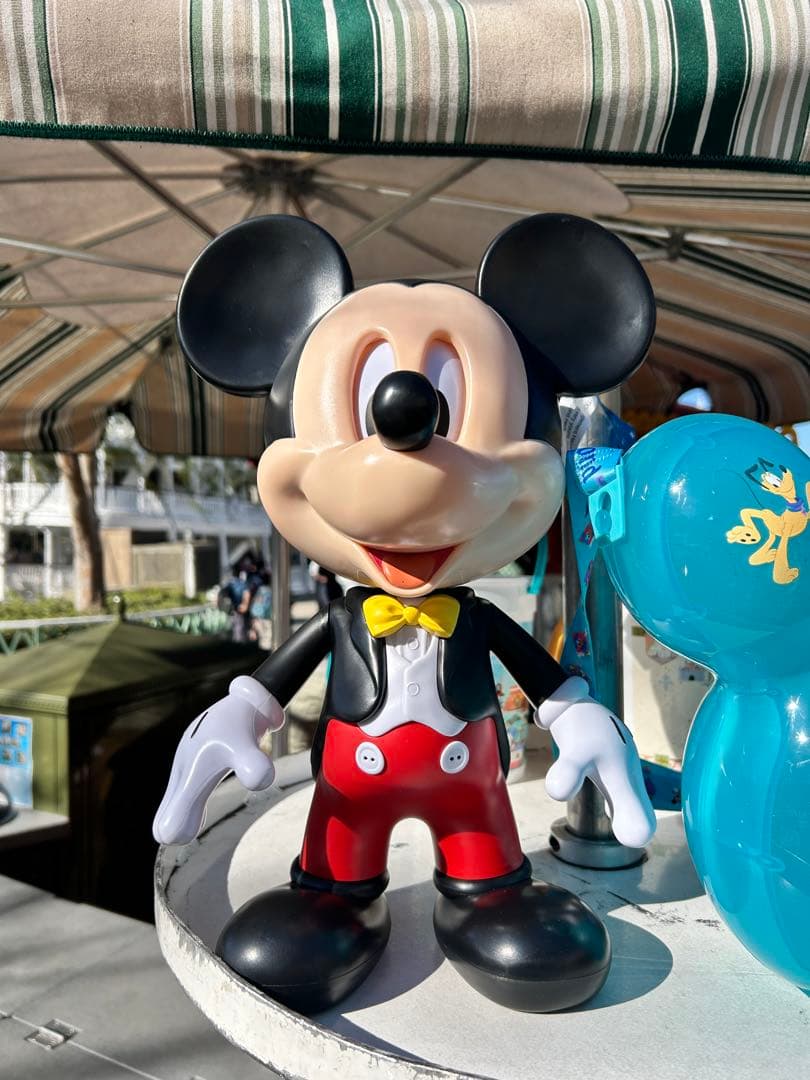 ディズニーランド 70周年 ポップコーンバケット アナハイム 海外限定