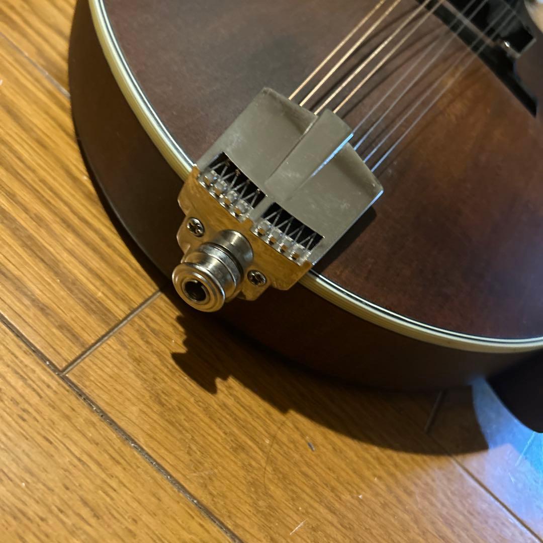 フラットマンドリン　イーストマン　md-315 /CLA ピックアップ付き