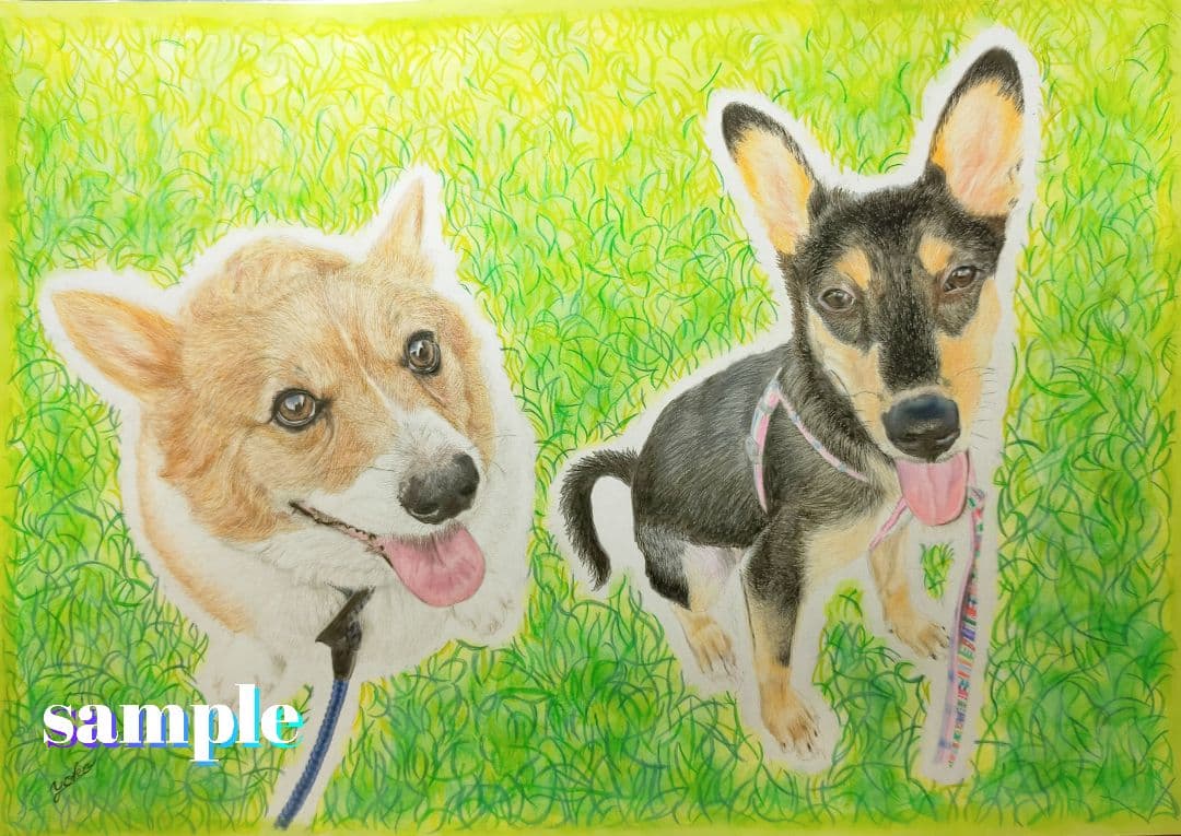 色鉛筆画✭愛猫愛犬✭ペット似顔絵　肖像画　イラスト　注文オーダー　受付ページ　1