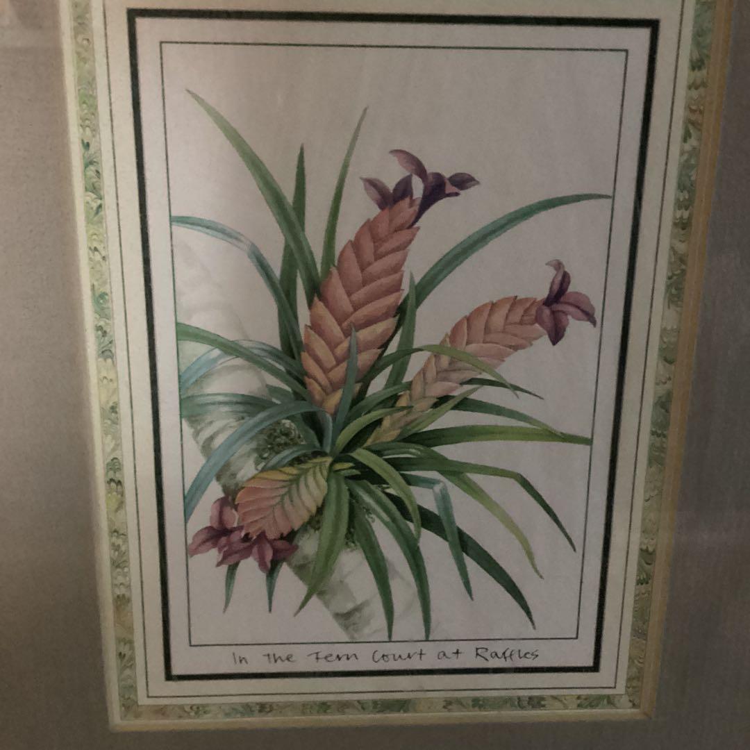 シンガポールラッフルズホテル熱帯植物リトグラフ額装仕立て
