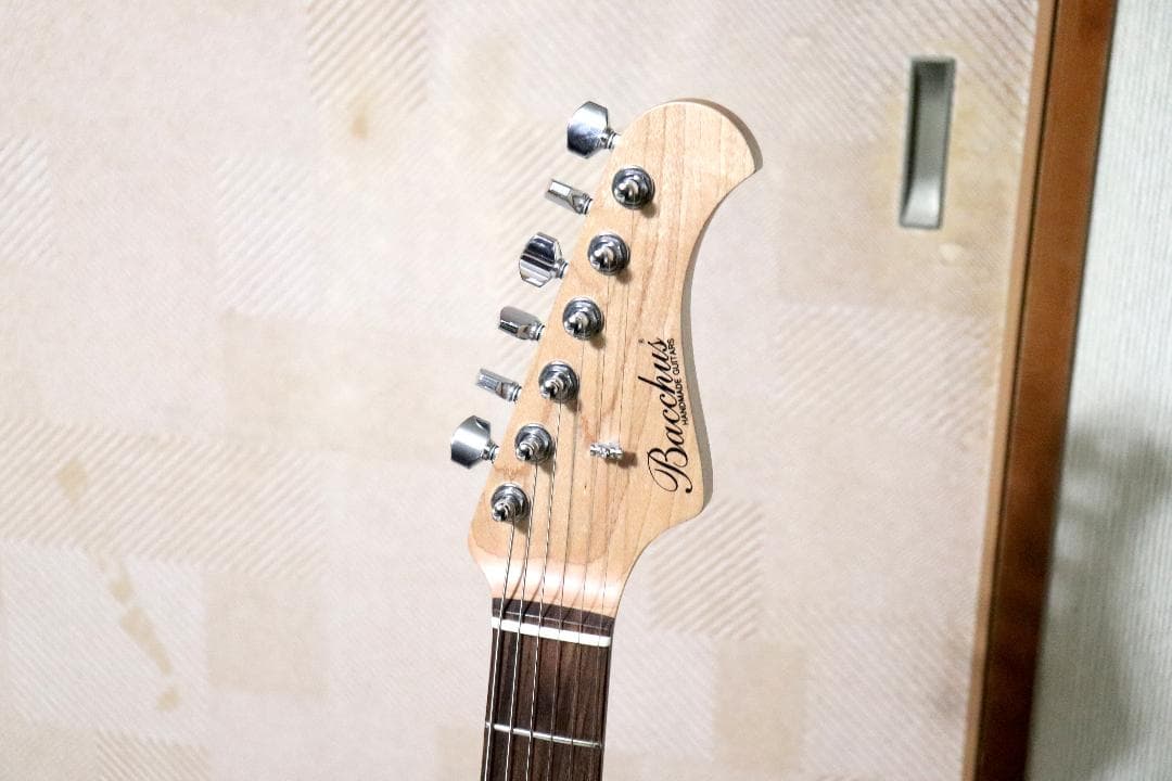 ギター Bacchus T-MASTER ASH BLK/OIL