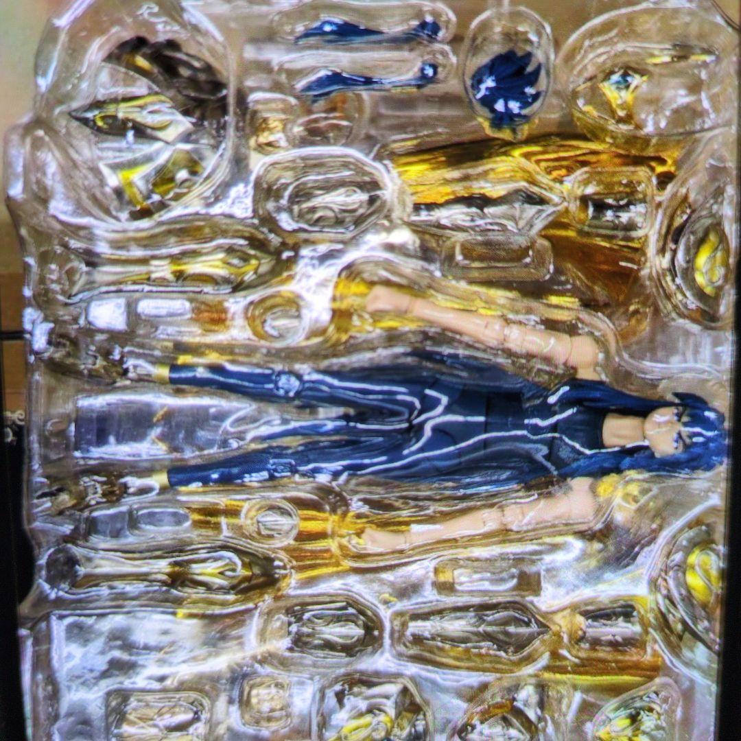 聖闘士聖衣神話EX.アクエリアス.カミュ。神聖衣。