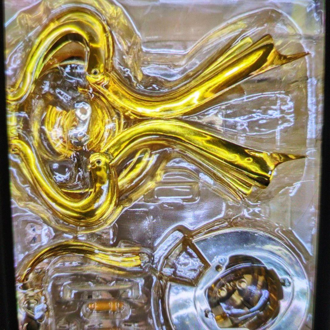 聖闘士聖衣神話EX.アクエリアス.カミュ。神聖衣。