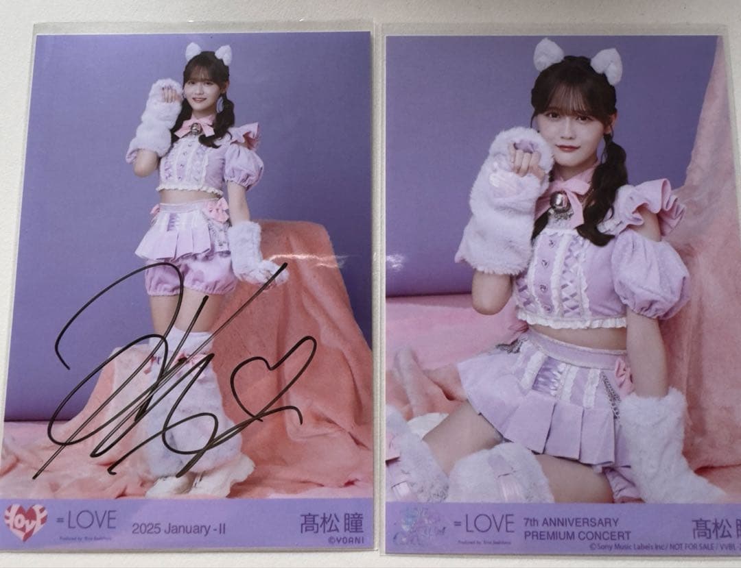 髙松瞳 7周年 猫衣装 ヒキ 生写真 直筆 イコラブ 髙松瞳 7 髙松瞳 猫