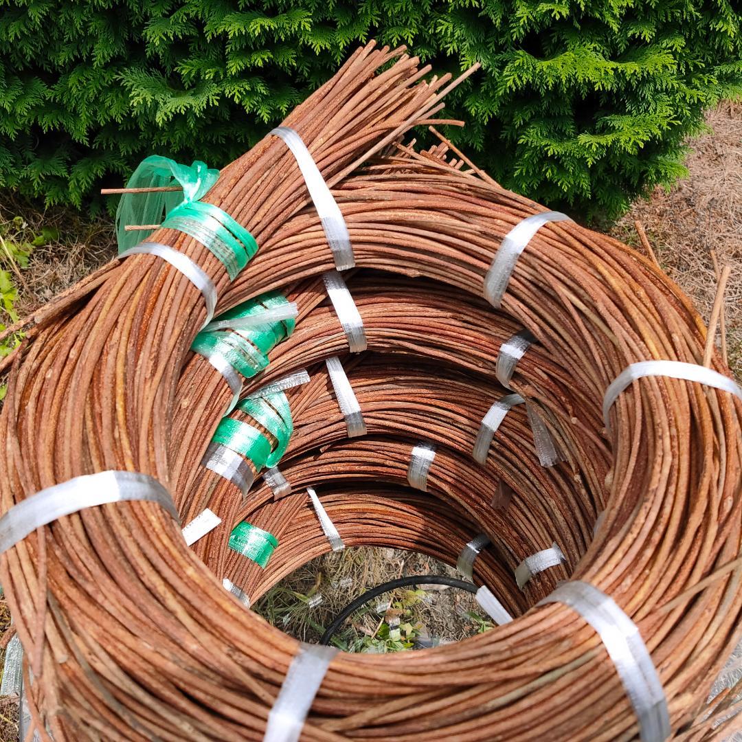 hkeplk　青森岩木山採取　あけび蔓　150cm～ 5kg