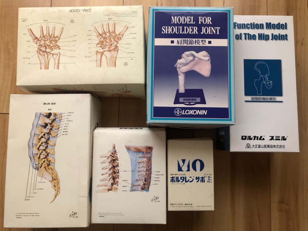 股関節、膝関節、腰椎、頸椎機能模型と手の骨模型人体模型のおすすめ