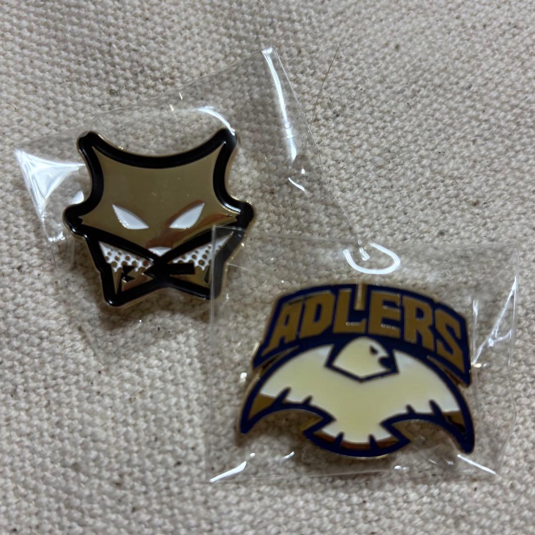 ハイキュー10thクロニクル フォトカード ピンズ