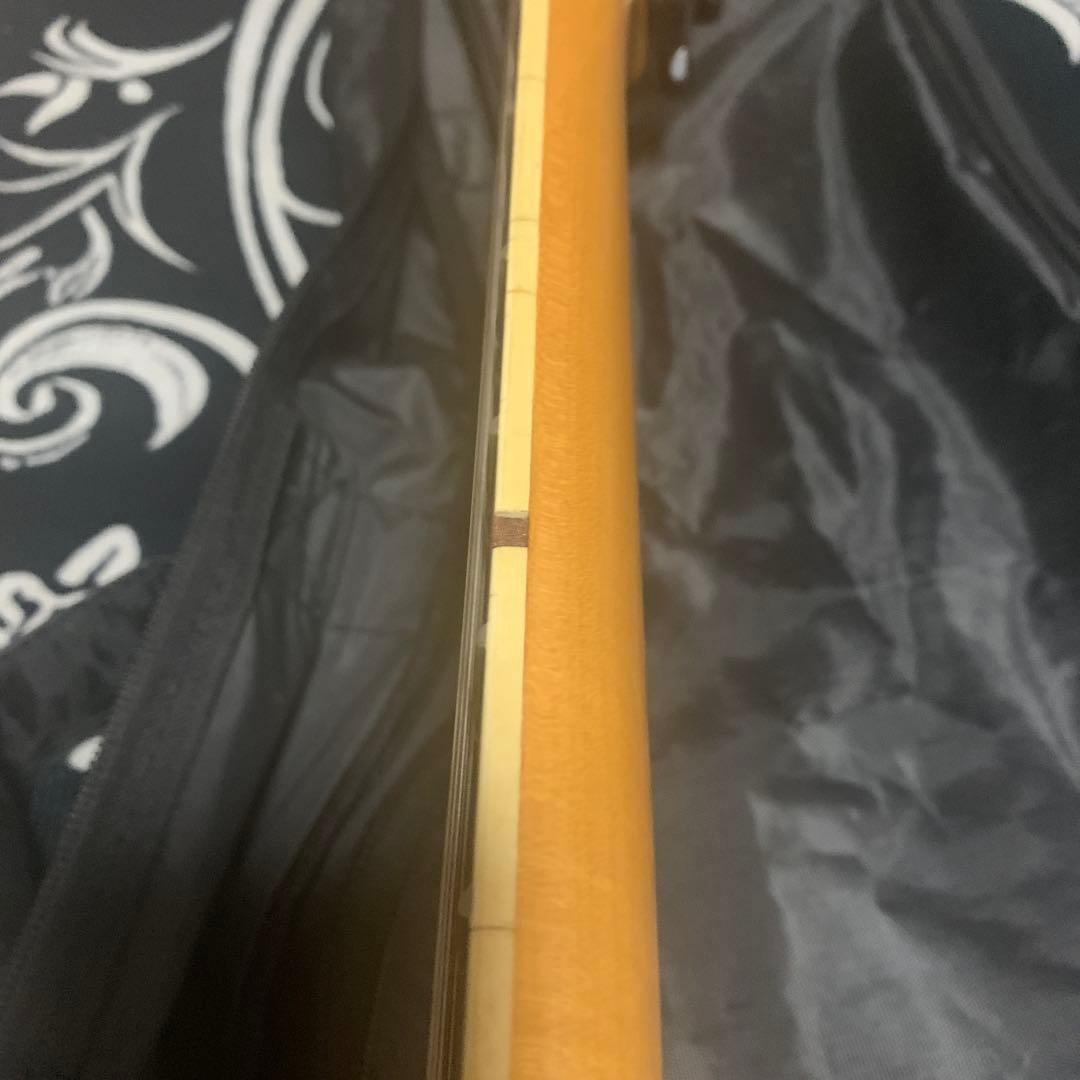 Ibanez RGシリーズ　エレキギター　最高の入門ギター　ソフトケース付属