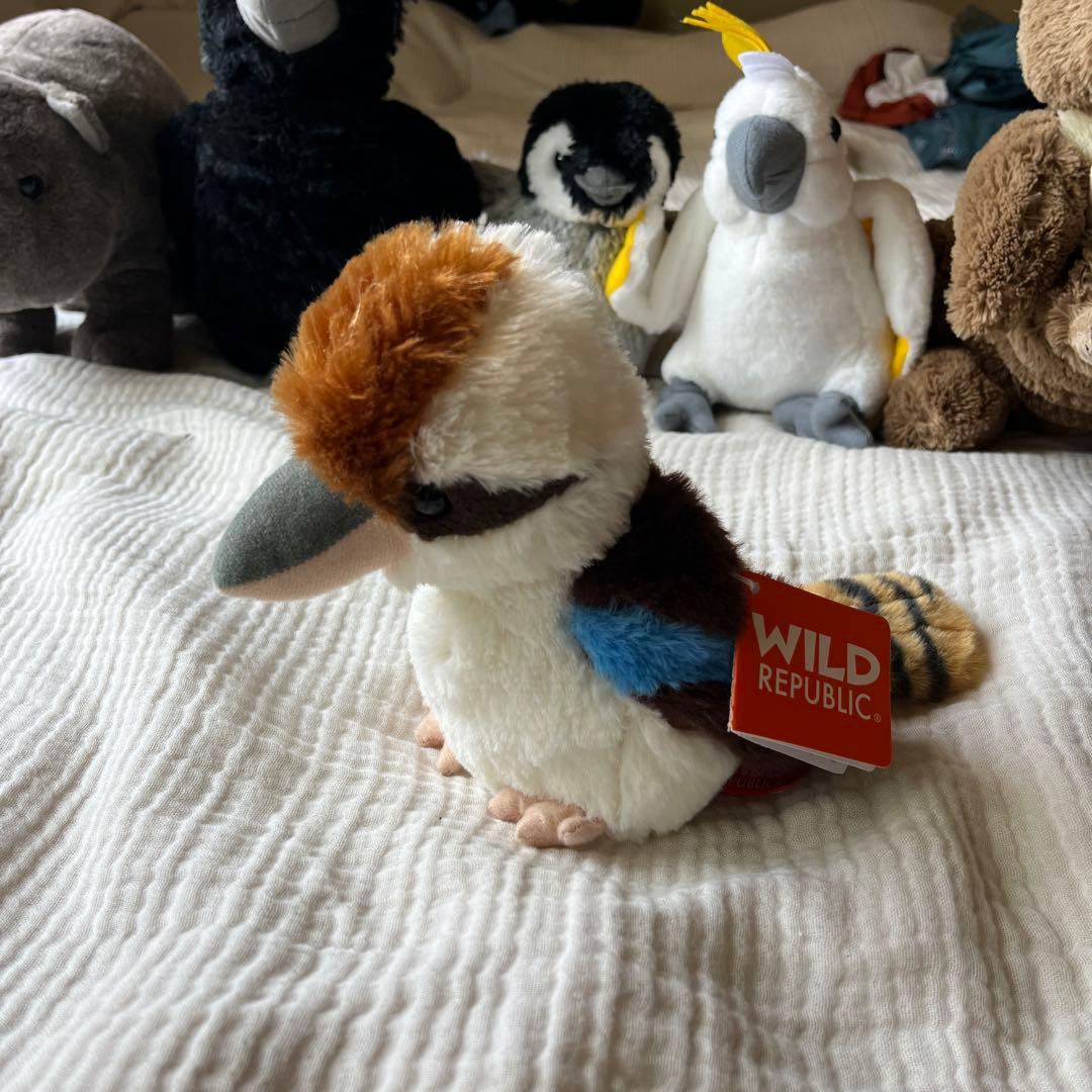 Wild Republicオーストラリアの動物ぬいぐるみ6体セット