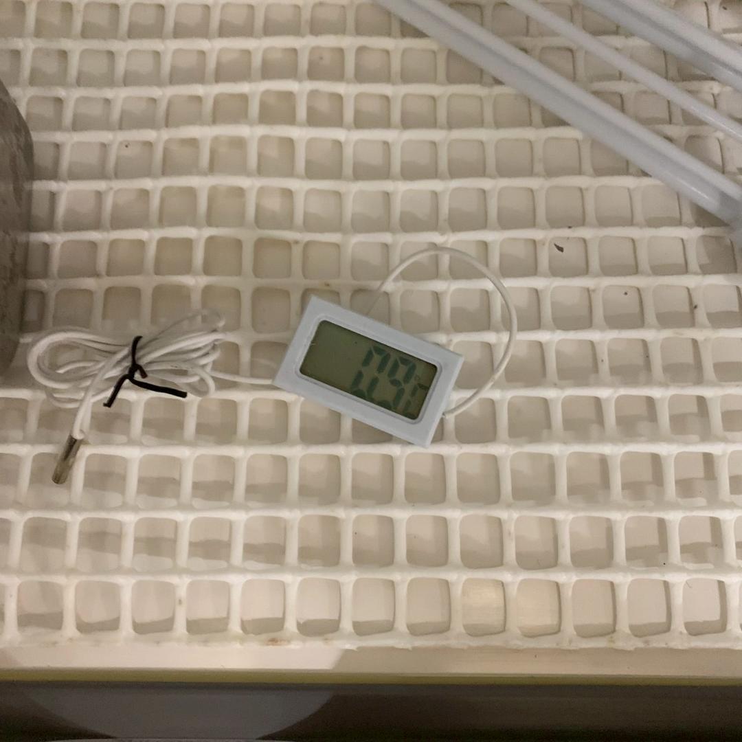 ホシザキ 冷蔵ショーケース RSC-120D-B 2017年製 Y2414