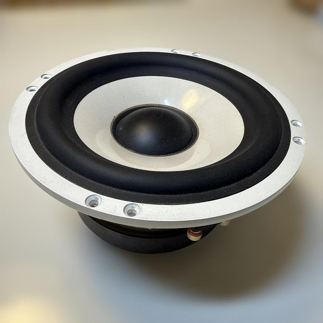 BEWITH Accurate A-180 サブウーファー