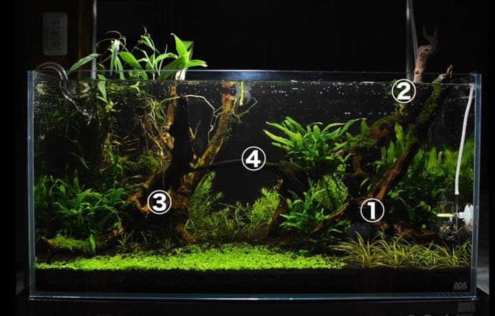 10936 ブランチウッド 流木 アクアリウム 沈水確認済 71121 ブランチ