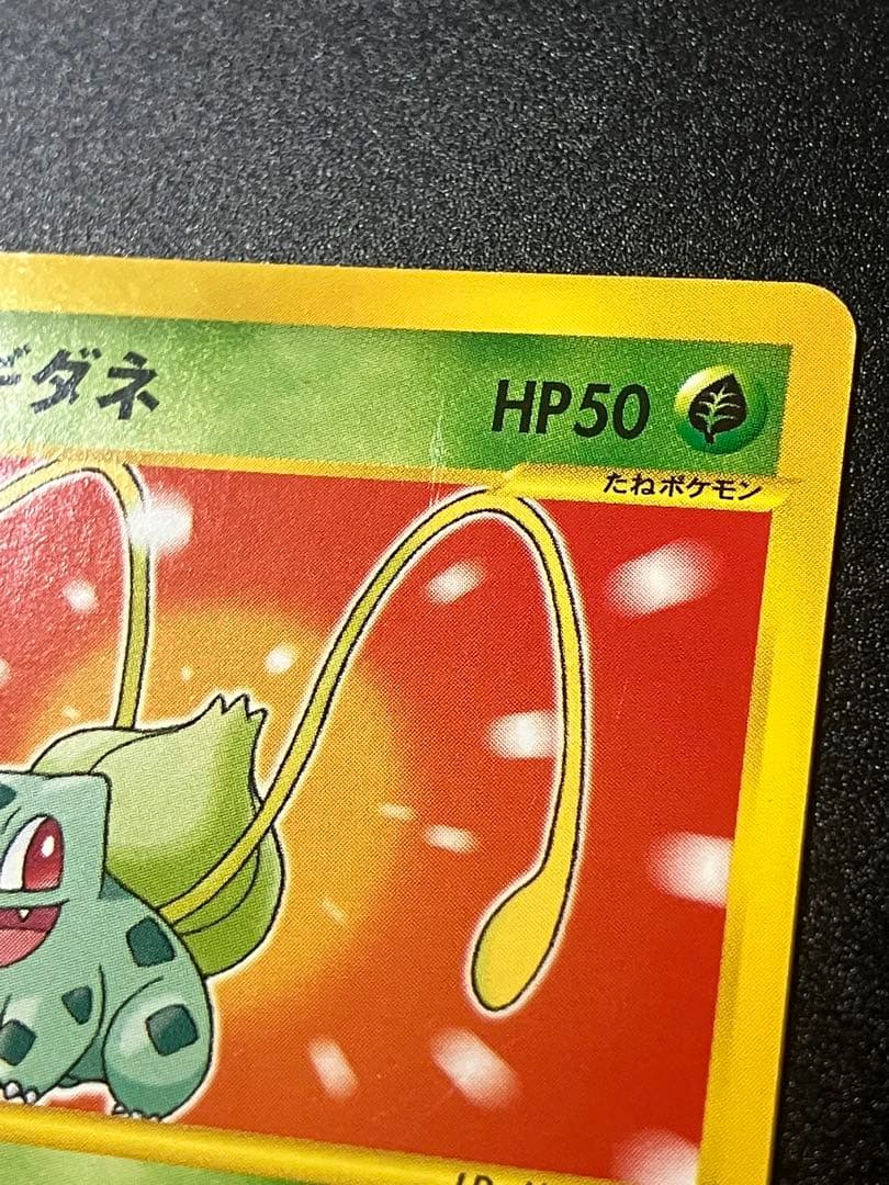 フシギダネ eカード マクドナルド プロモ Bulbasaurl 151 G103318381