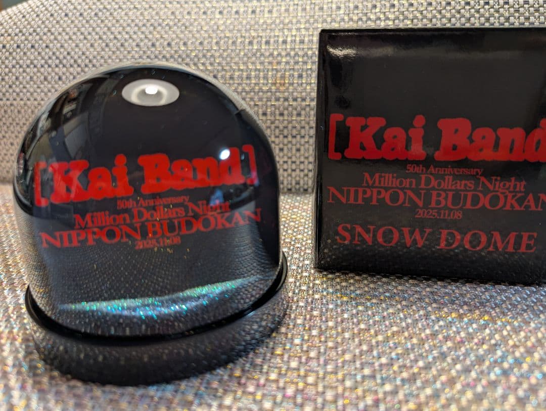 甲斐バンド　スノードーム　コンサートVIP特典 ① 限定・非売品】甲斐バンド 武道館ライブVIP特典 スノードーム - メルカリ