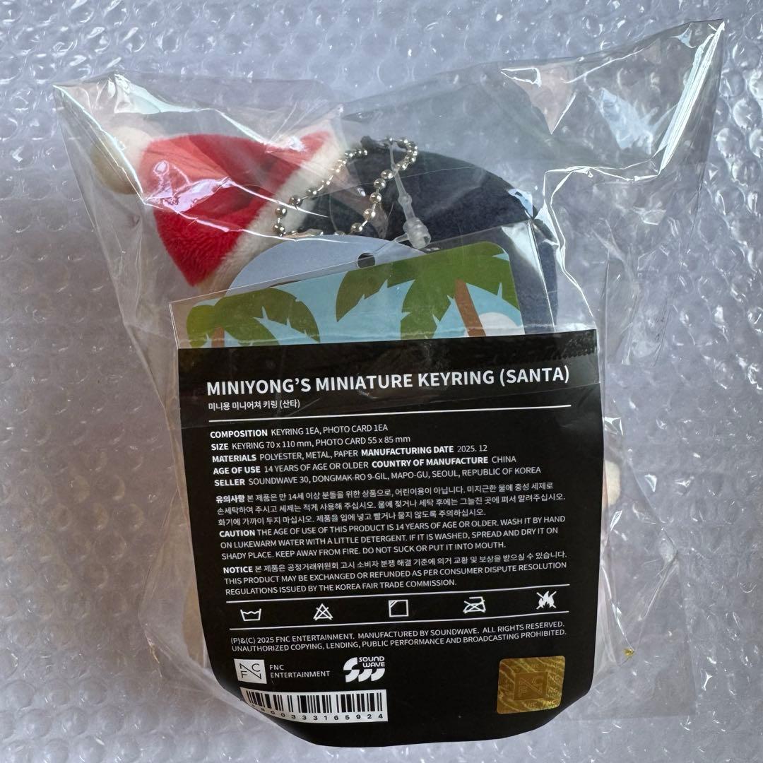 CNBLUE ヨンファ ミニヨン サンタ ミニチュアキーリング トレカ付き