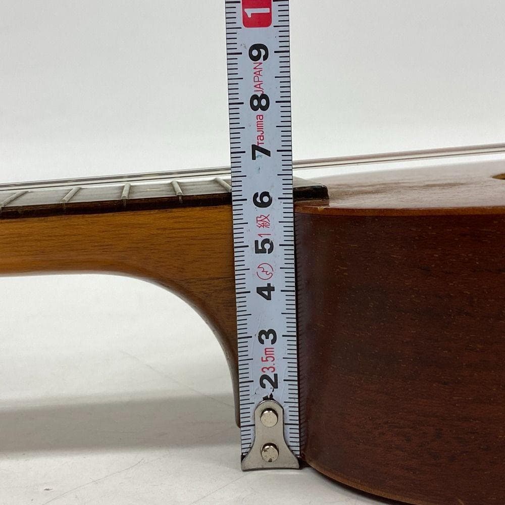 Famous FU-120P ソプラノウクレレ ソフトケース