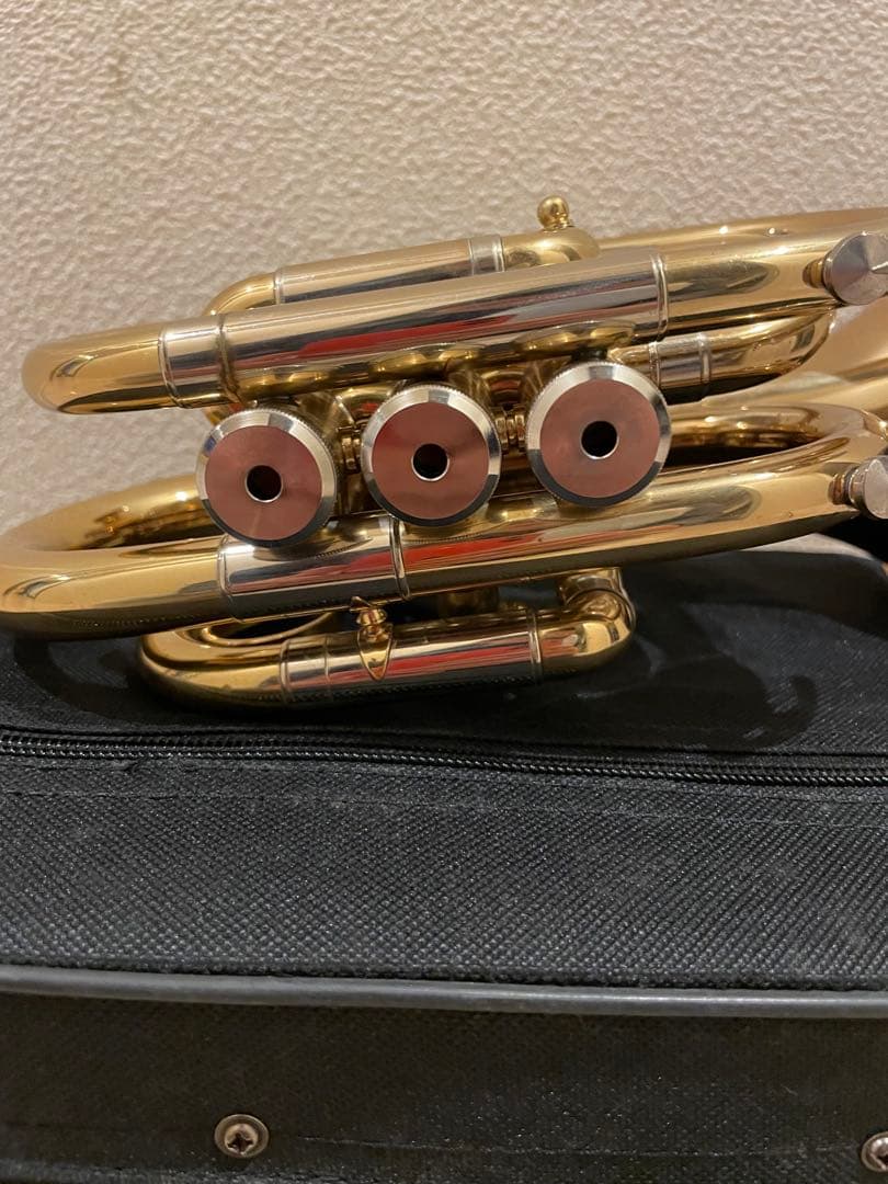 ❗️タイムSALE❗️ポケットトランペット マウスピース付き