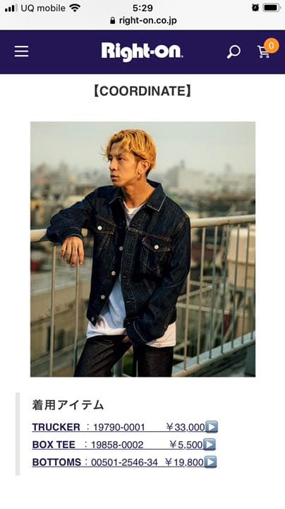 LEVI'S dragonash kj 降谷建志 - メルカリ