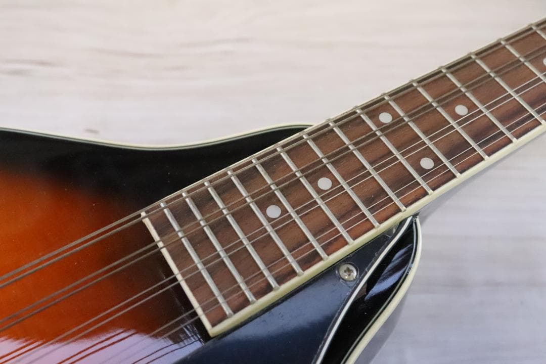 ■アリア マンドリン MANDOLIN ARIA AM-20 弦楽器