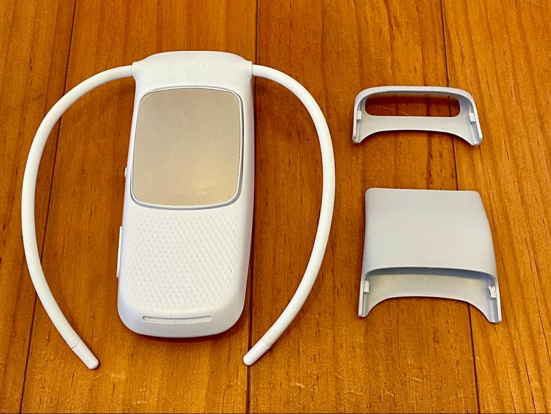 ソニー（SONY）　REON POCKET5　純正ケース付　中古