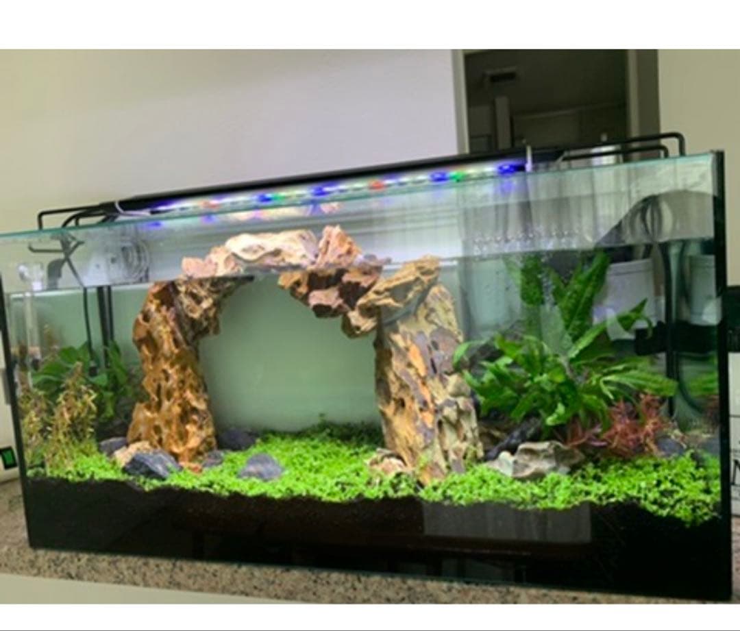 お値下げ☆ 水槽用自然石（気孔石）セット 11個 岩組みレイアウトに