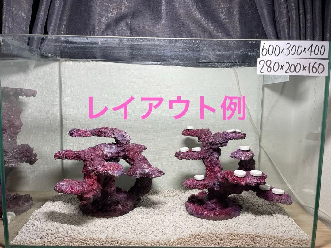 ADA 龍王石 約7.5kg セット 親石約2.8kg 魚用品・水草 【送料