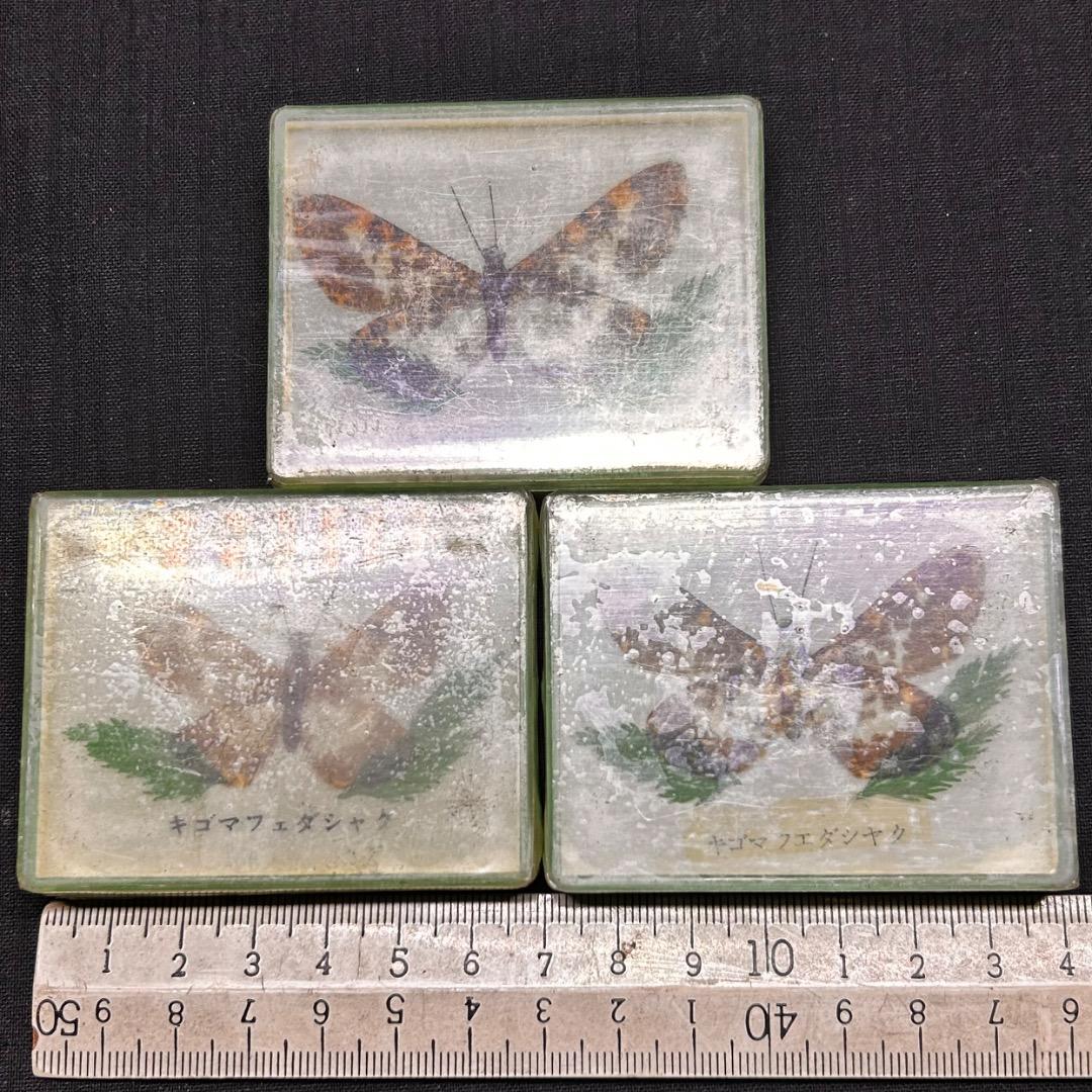 ▽Ca右318▽ レア パチンコ 特殊景品 昆虫 標本 蝶 蛾 14点まとめ