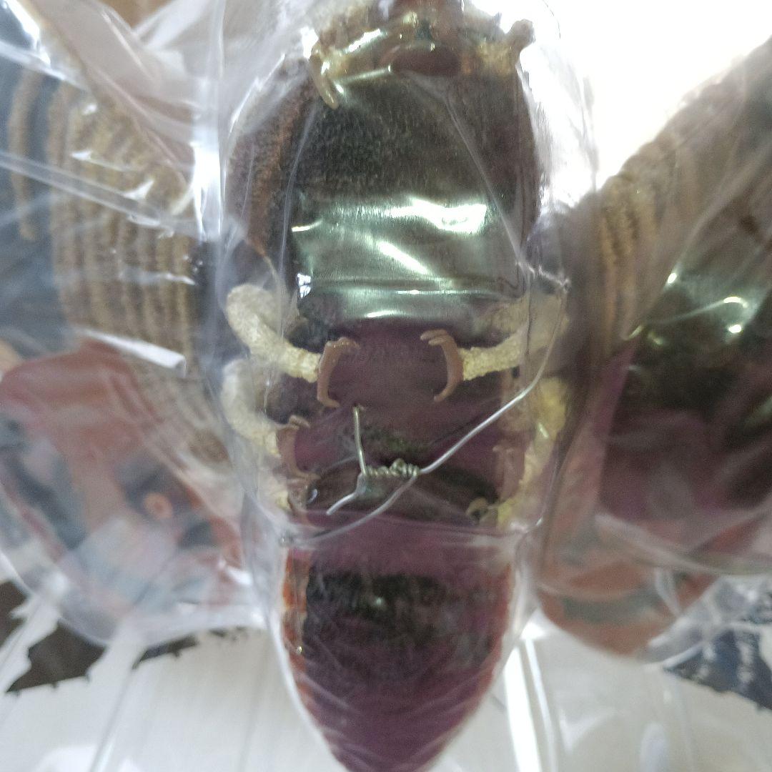 東宝大怪獣シリーズ　モスラ（1961年版）