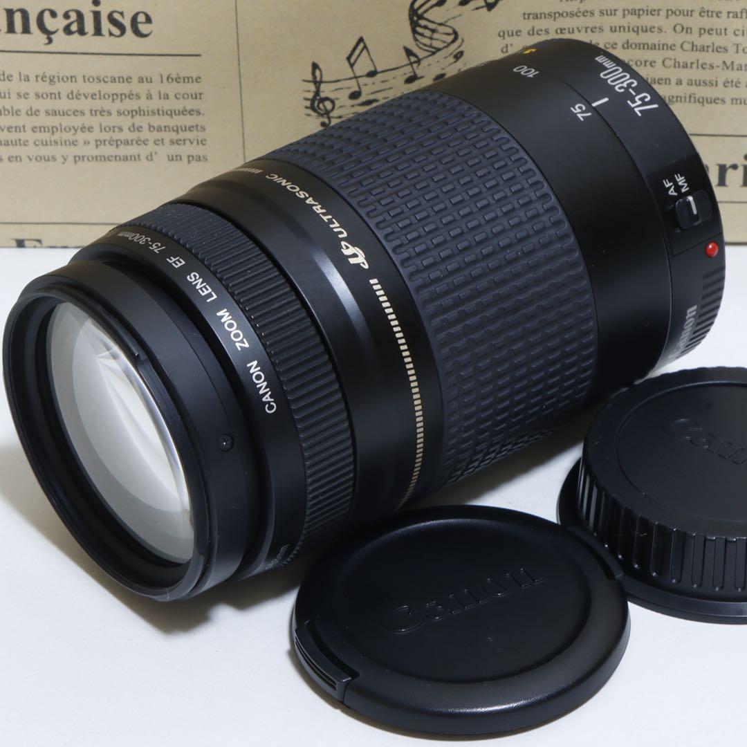 ◇超望遠&高速AF◇Canon純正 75-300mm II 超望遠レンズ!!