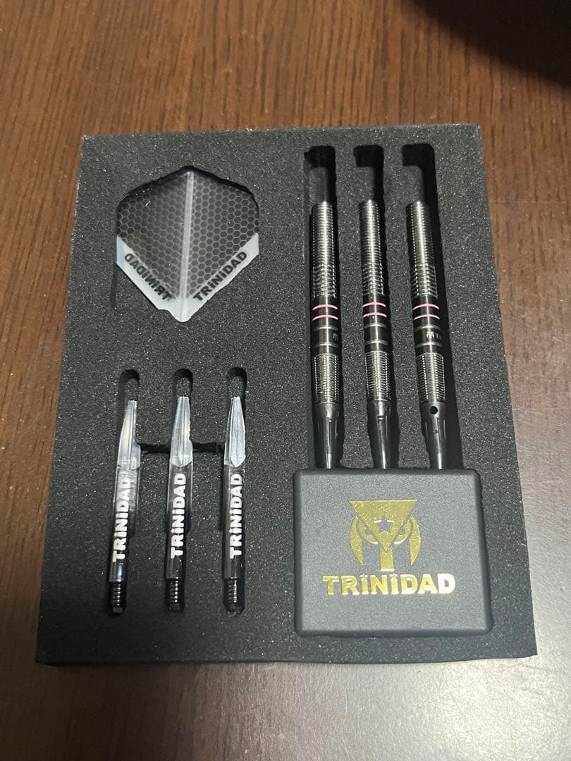 試投のみ TRINIDAD Hugo Leung ダーツセット