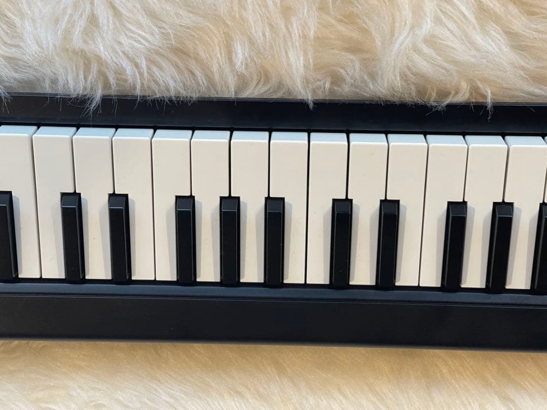 KORG microKEY Air ＋ ハモンド鍵盤ハーモニカ用ケース付