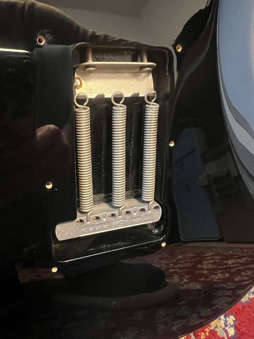 ギター FUJIGEN Neo Classic Series NCST-20R