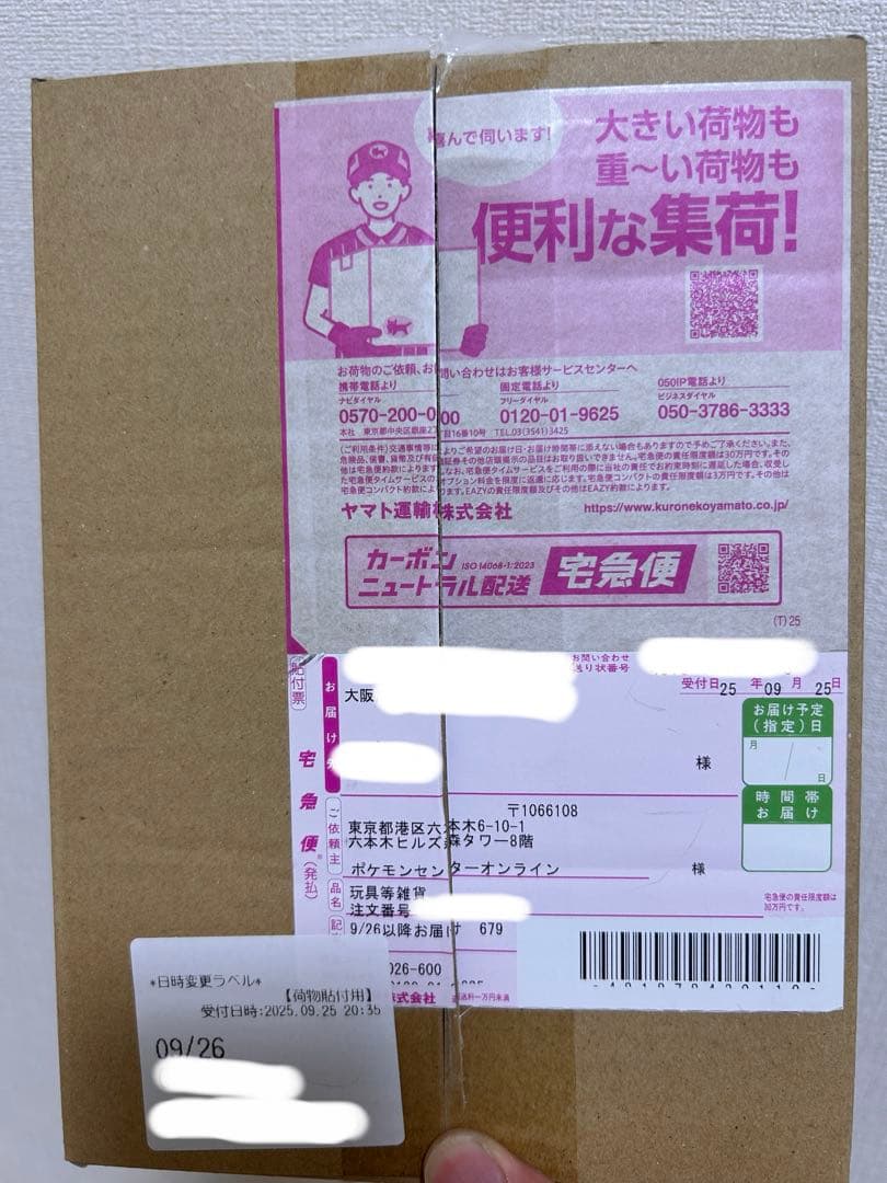 ⭐︎wawawa⭐︎ メガリザードンX ex SAR