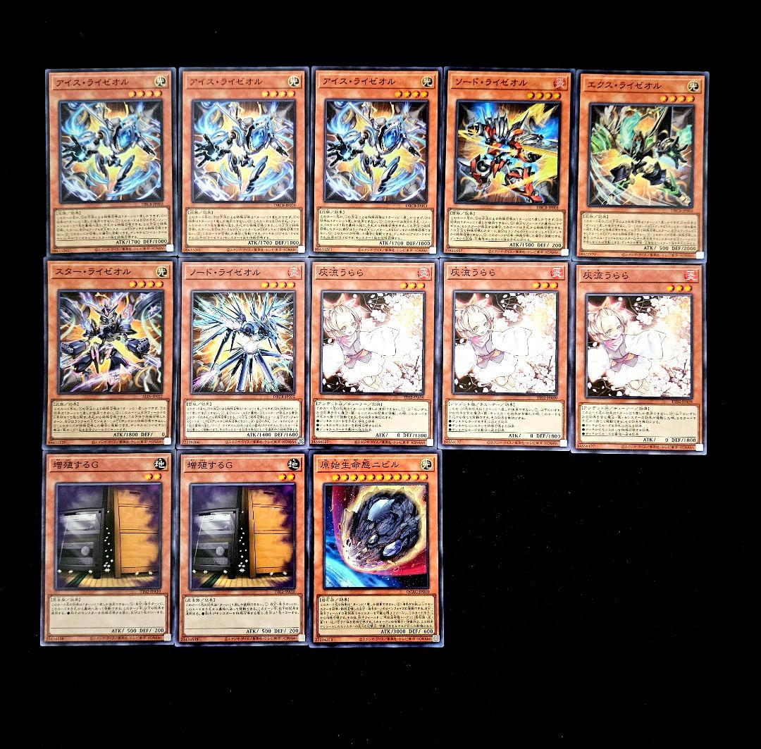 遊戯王 【本格構築‼️】巳剣 ライゼオル 構築済みデッキ‼️ 大会 下準備