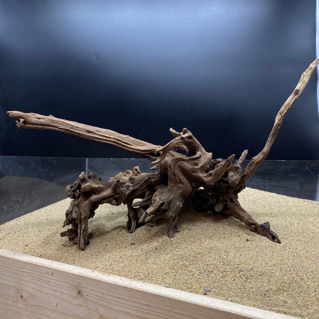MSW-6326 天然流木 1点物 枝流木 アクアリウム 流木