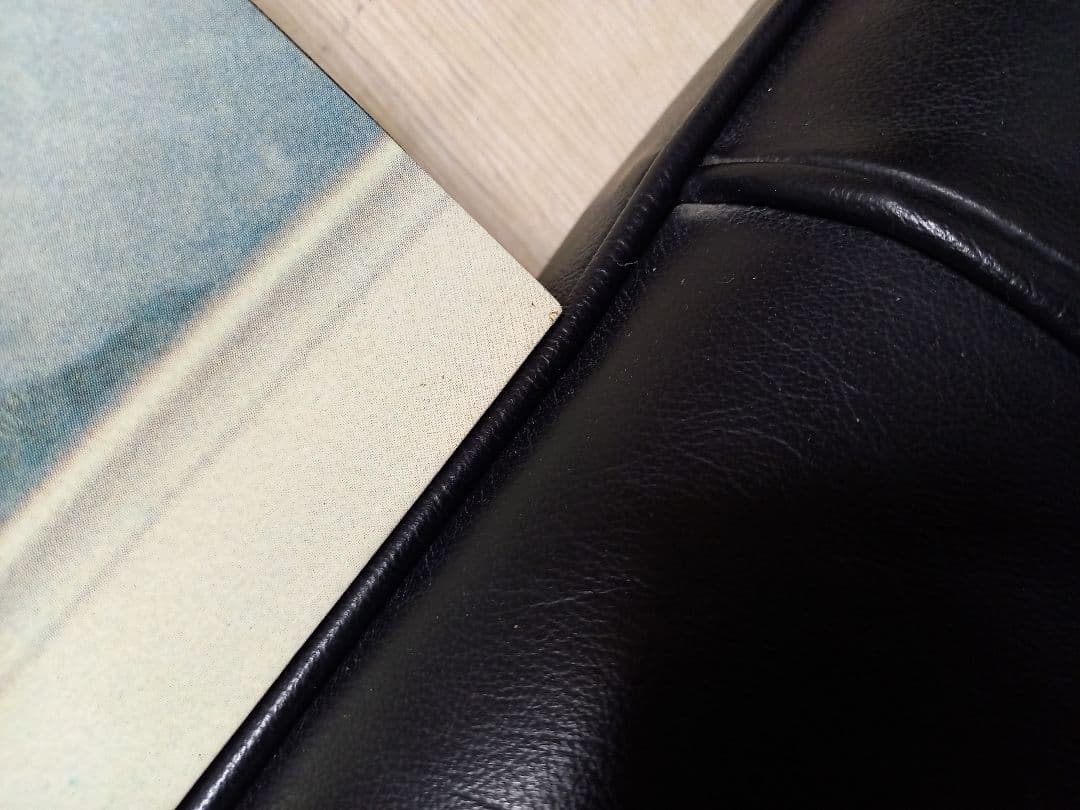 希少 当時物 アグネス ラム フォトグラフ パネル ポスター 木製 フレーム