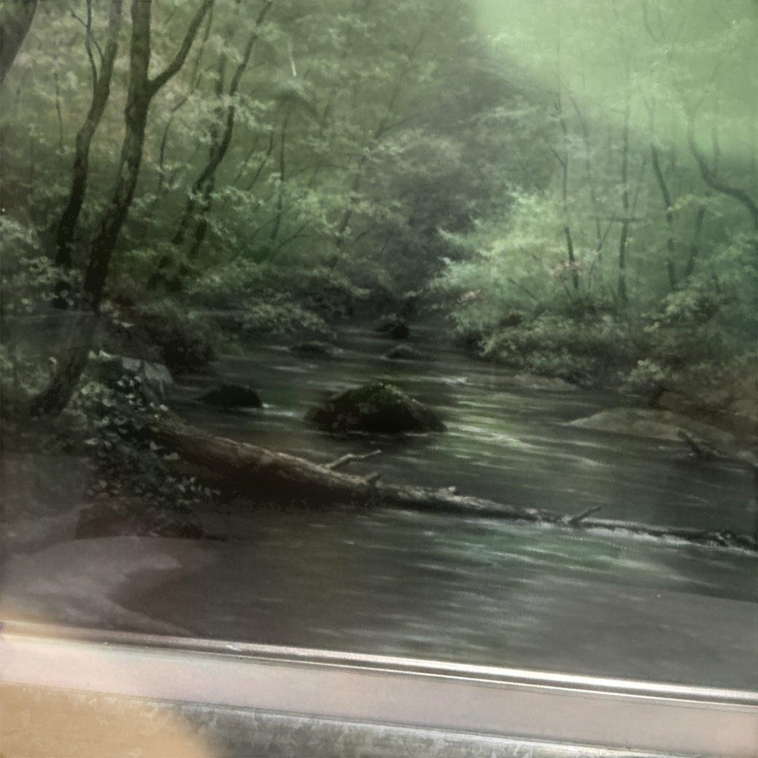 秀ちゃんさん専用　向山一石　（もいやまいつせき）　春光に憩う　「奥入瀬」　F6