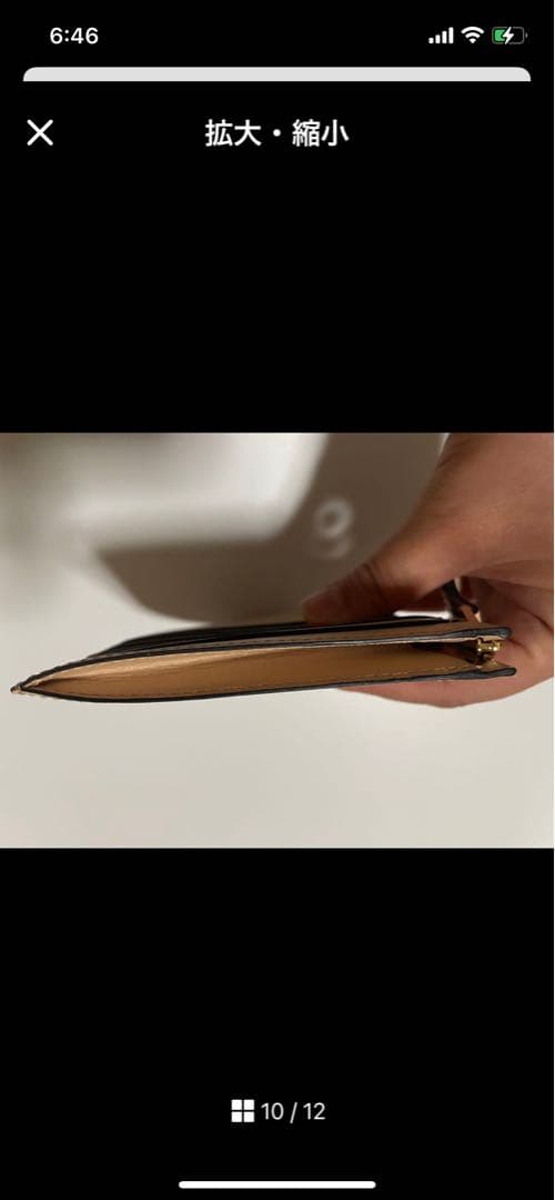 DELVAUX ベージュ ケース