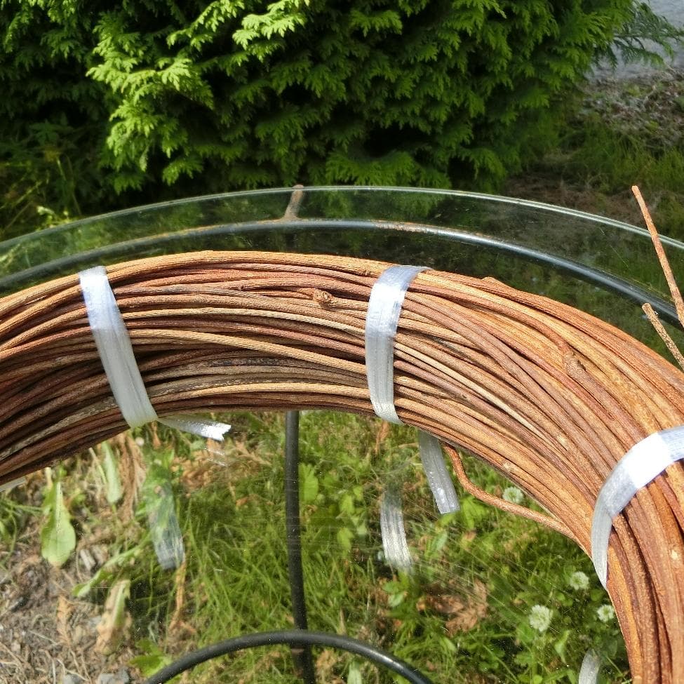 青森岩木山採取　あけび蔓　150cm～ 1kg