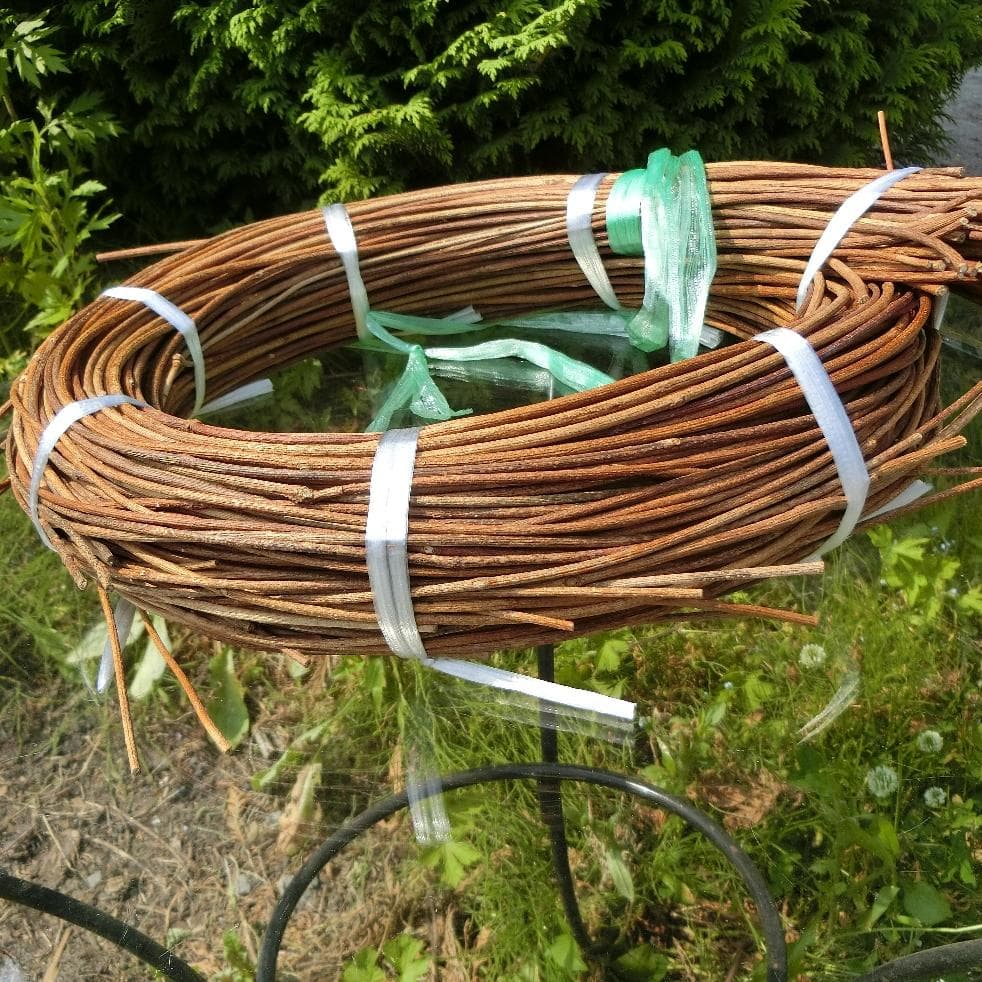 青森岩木山採取　あけび蔓　150cm～ 1kg