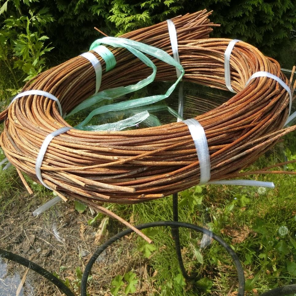 青森岩木山採取　あけび蔓　150cm～ 1kg