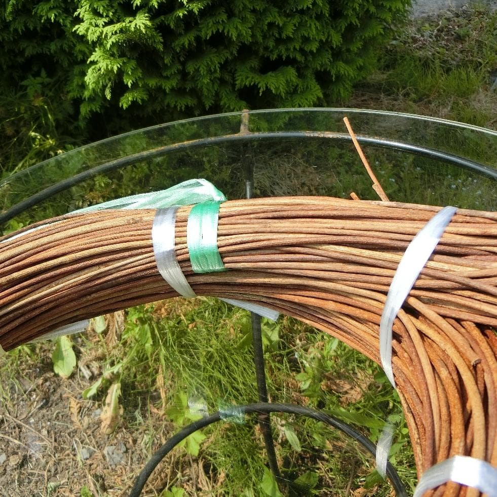 青森岩木山採取　あけび蔓　150cm～ 1kg